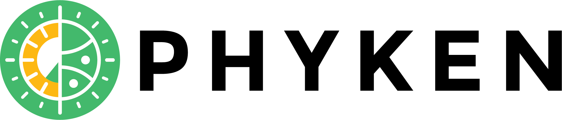 Phyken Logo